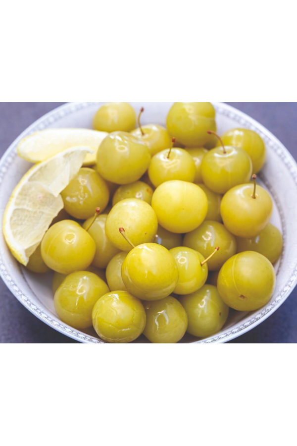 Ev Yapımı Natural Erik Turşusu 900 g Ev Yapımı Natural Erik Turşusu 900 g