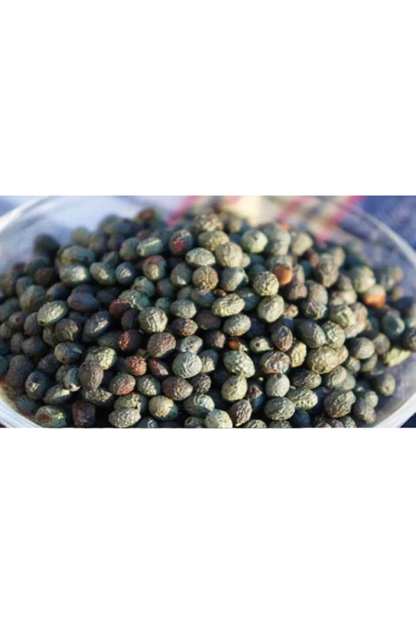 Tane Menengiç (Yenilebilir/Yemeklik) 250 g Tane Menengiç (Yenilebilir/Yemeklik) 250 g